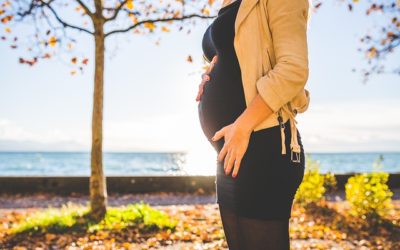 CBD and Pregnancy