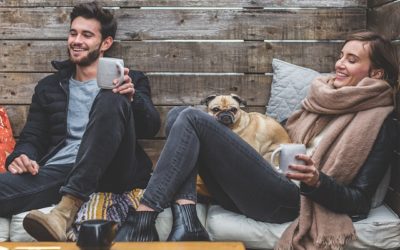CBD for Pets